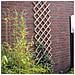 Pergolato Da Giardino 45x180 Cm Bambù 6040720 - Foto miniatura 3