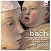 Bach J. S. - Oratorio Di Natale, Mottetti Bwv 525-530 (2 Cd)  - Foto miniatura 1