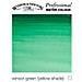 721 Artist 1/2 Godet Verde Winsor Yellow Shade Gruppo 1 - Foto miniatura 1