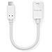 IS230 cavo di interfaccia e adattatore USB-C USB-A Bianco - Foto miniatura 2
