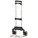 Carrello Portatile Pieghevole 60 Kg 60 Kg Sxwtd-ft500 - Foto miniatura 1