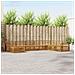 Set divani 8 pcs Naturale Legno di Acacia Massello - Foto miniatura 2