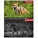 Camera Da Fauna Selvatica, Occhiali Per Visione Notturna Ip66 Impermeabile E-angolo A 120 Largo. - Foto miniatura 4