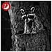Camera Da Fauna Selvatica, Occhiali Per Visione Notturna Ip66 Impermeabile E-angolo A 120 Largo. - Foto miniatura 5