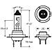 Lampadina Alogena 12v 55w H7 - Foto miniatura 2
