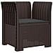 Poltrona a 1 Posto con Cuscino Aspetto Rattan PP Marrone - Foto miniatura 1