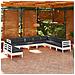 Set Divani Da Giardino 10 Pz Con Cuscini Bianchi Legno Di Pino - Foto miniatura 1