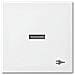 Busch-jaeger 1731-0-2018 Bianco Placca Per Interruttori E Coperchio Per Presa - Foto miniatura 1