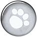Impermeabile Per Cani Tarbes M 46 Cm In Pvc Trasparente - Foto miniatura 3