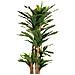 Pianta Di Dracena Artificiale Decorativa In Vaso 40x30x150h Cm - Foto miniatura 4