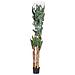 Pianta Di Dracena Artificiale Decorativa In Vaso 40x30x150h Cm - Foto miniatura 7