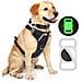 Supporto Apple Airtag Per Collare Di Cane / gatto - Si Illumina Al Buio / verde - Foto miniatura 5
