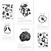 Set Di 6 Stampe Foglio Decorativo Con Composizione Di Funghi In Bianco E Nero Con Illustrazione Di Design Per Decorare Le Pareti Dell'ufficio Domestico A3 & A4 Senza Cornice - Foto miniatura 1