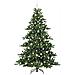 Albero di Natale Artificiale con Rami Pieghevoli Verde 210 cm - Foto miniatura 3