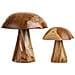 Funghi Decorativi Kodi In Teak Naturale, Set Di 2 - Foto miniatura 1