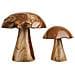 Funghi Decorativi Kodi In Teak Naturale, Set Di 2 - Foto miniatura 2