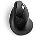 Mouse Pro Fit Ergo Wireless Ottico 6 Tasti 1600 DPI Colore Nero - Foto miniatura 2
