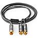 CATB24000GY30 cavo audio 3 m RCA 2 x RCA Grigio - Foto miniatura 3