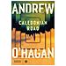 Andrew O'Hagan - Caledonian Road - Foto miniatura 1
