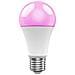 R9074 soluzione di illuminazione intelligente Lampadina intelligente Wi-Fi 10 W - Foto miniatura 5