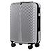 Valigia media Wings Swan da 24"" - Grigio, materiale ABS+ - Foto miniatura 1