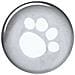 Impermeabile Per Cani Tarbes Xs 30 Cm In Pvc Trasparente - Foto miniatura 3
