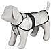 Impermeabile Per Cani Tarbes Xs 30 Cm In Pvc Trasparente - Foto miniatura 1