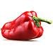 Capsule Di Semi Habanero Large - Foto miniatura 2