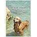 Claudia Simoncini - Il mio nome è Biscotto. Una formidabile vita da cane - Foto miniatura 1