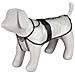 Impermeabile Per Cani Tarbes M 50 Cm In Pvc Trasparente - Foto miniatura 1