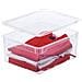 Rotho F707805 Contenitore Multiuso - Foto miniatura 1