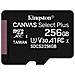 MicroSD SDXC Canvas Select Plus Capacità 256 GB Classe 10 Velocità 100 MB / s  - Foto miniatura 1