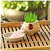 Mini Self-suction Ceramic Flower Pots With Tray For Succulents Cactus Flower Pots Decoration For Home, Office, Indoor, Puppy - Foto miniatura 2
