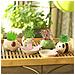 Mini Self-suction Ceramic Flower Pots With Tray For Succulents Cactus Flower Pots Decoration For Home, Office, Indoor, Puppy - Foto miniatura 3