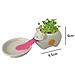 Mini Self-suction Ceramic Flower Pots With Tray For Succulents Cactus Flower Pots Decoration For Home, Office, Indoor, Puppy - Foto miniatura 4