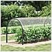 Copertura per Piante con Occhielli 2x3 m PVC - Foto miniatura 2