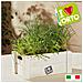 Kit Composto Da Cassetta In Legno, Terriccio, Semi Alta Germinabilità Basilico - Prezzemolo - Foto miniatura 2