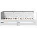 Lusso Casadino -  Divano Letto Con Cassetti Senza Materasso Bianco 75x190 Cm - Foto miniatura 3