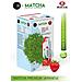 Thé Matcha Détoxifiant Premium À La Fraise Japonaise, 1 Boîte - Foto miniatura 1