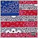 Audio Cd Joey Bada$$ - All-amerikkkan Bada$$ - Foto miniatura 1