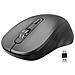 Mouse Wireless Silenzioso 2.4g Per Tablet, Pc E Uso Professionale - Foto miniatura 1