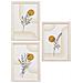 Set 3 Cornici Madison In Mdf Naturale Con Stampe Botaniche - Foto miniatura 1