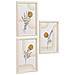 Set 3 Cornici Madison In Mdf Naturale Con Stampe Botaniche - Foto miniatura 2