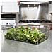 Bacinella Gastronorm Gn 1/1 Cm 53x32,5 In Policarbonato - 1/1 H 150 - Foto miniatura 2