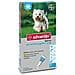 Advantix Spot On Small per cani da 4-10 Kg 4 pipette 1,0 ml - Foto miniatura 8