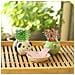 Mini Self-suction Ceramic Flower Pots With Tray For Succulents Cactus Flower Pots Decoration For Home, Office, Interior, Frog - Foto miniatura 2