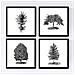 Set Di 4 Stampe Fogli Di Alberi. Alberi Ornamentali , Bianco 250g Poster Di Carta E Gli Inchiostri Di Alta Qualità. Senza Cornice 20x20 Cm - Foto miniatura 1
