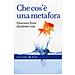 Francesca Ervas - Che cos'è una metafora - Foto miniatura 1