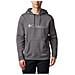 Csc Basic Logo Ii Hoodie, Uomo, Szare, Felpe, Numero: S Eu - Foto miniatura 1