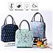 Pranzo Al Sacco Isolato Tote Bag Per Le Donne Wide Open Insulated Cooler Bag Water-resistant Termica Pranzo A Prova Di Perdite Organizzatore Per Uomo Bambina Bambini Outdoor Picnic Lavoro - Foto miniatura 4